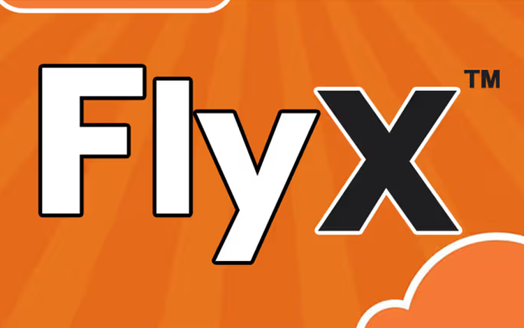 FlyX